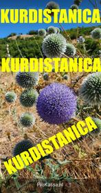 Koerdistanica Kogeldistel (Echinops) zaad uit Koerdistan, Tuin en Terras, Zomer, Ophalen of Verzenden, Overige soorten, Eenjarig