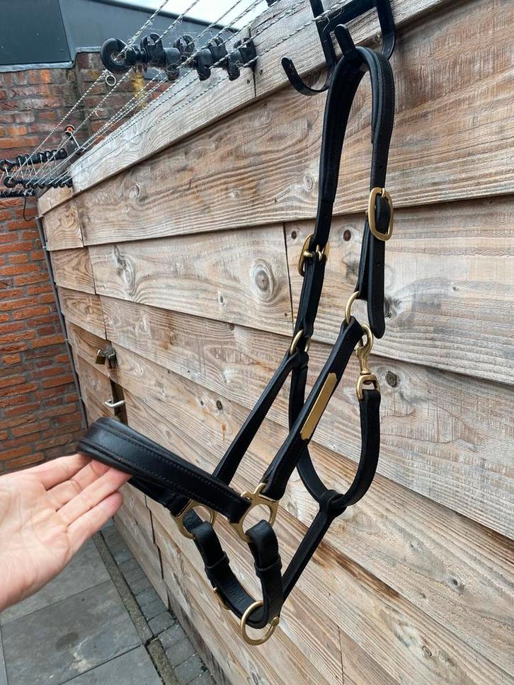 Premiere Leer Halster / Maat: Cob / Kleur: Zwart, Dieren en Toebehoren, Paarden en Pony's | Overige Paardenspullen, Overige soorten