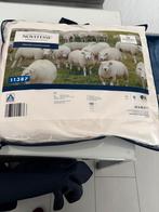 Wollen Hoofdkussen - Nieuw in Verpakking, Huis en Inrichting, Slaapkamer | Beddengoed, Nieuw, Ophalen of Verzenden, Kussen, Overige kleuren