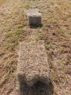 Kleine pakken hooi, Dieren en Toebehoren, Dierenvoeding, Ophalen of Verzenden, Vee