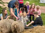 Camping Zomersbuiten in Oude Pekela, Wasmachine, Landelijk