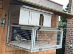 Spoetnik.61 breed. 55 hoog 50 diep., Meerdere dieren, Postduif