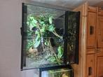 Exo terra Paludarium met vampierkrabben, Dieren en Toebehoren, Reptielen en Amfibieën | Toebehoren, Ophalen of Verzenden, Zo goed als nieuw