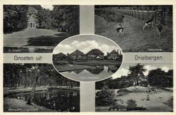 Groeten uit Driebergen - 5 afb o.a. Oranjelaan - 1939 gelope beschikbaar voor biedingen