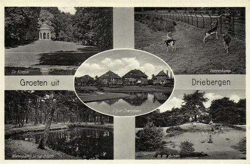 Groeten uit Driebergen - 5 afb o.a. Oranjelaan - 1939 gelope, Verzamelen, Ansichtkaarten | Nederland, Gelopen, Utrecht, 1920 tot 1940