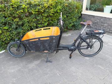 Sportieve elektrische bakfiets  beschikbaar voor biedingen