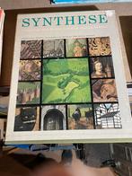 Boek Synthese DSM verzamelde foto’s in cassette, Ophalen of Verzenden, Gelezen, Meerdere auteurs