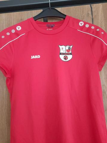 SC Gastel T-shirt Maat M beschikbaar voor biedingen