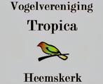 Vogelbeurs 2 November van 10 tot 13 uur, Dieren en Toebehoren, Meerdere dieren