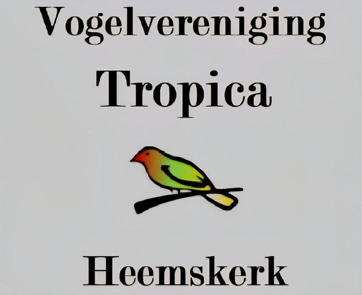 Vogelbeurs 2 November van 10 tot 13 uur, Dieren en Toebehoren, Vogels | Overige Vogels, Meerdere dieren