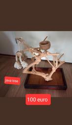 Java tree, Dieren en Toebehoren, Ophalen, Zo goed als nieuw