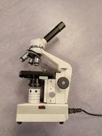 Euromex microscoop, Gebruikt, 400x tot 1000x, Biologische microscoop, Ophalen