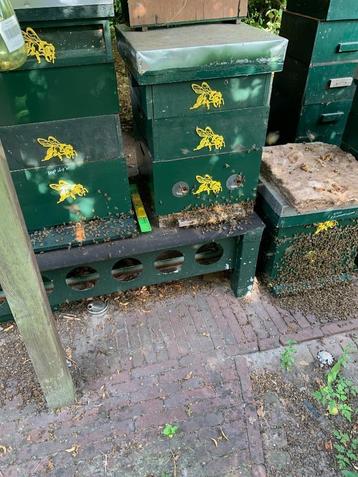bijenvolken te koop ivm hersenschudding en materiaal gebrek beschikbaar voor biedingen