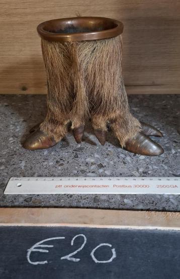 2. diverse opgezette dieren taxidermie anatomische modellen beschikbaar voor biedingen