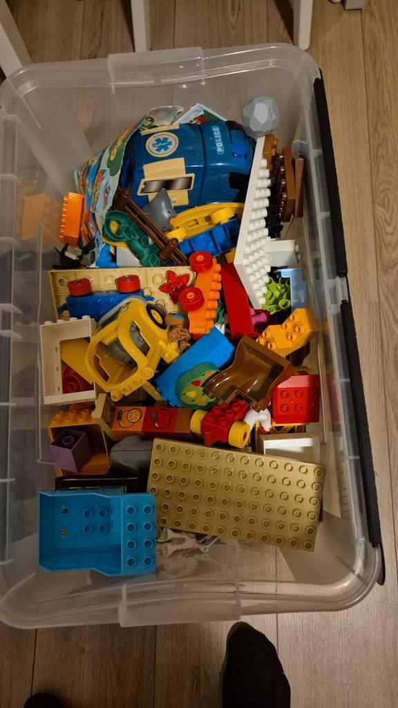 Grote Kist Duplo - Veel Speelplezier!, Kinderen en Baby's, Speelgoed | Duplo en Lego, Gebruikt, Duplo, Losse stenen, Ophalen