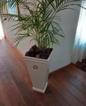 Houten Plantenbak 70cm plantenzuil vaas incl palm  Eindhoven beschikbaar voor biedingen