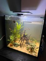 Nette kubus aquarium, Ophalen, Gebruikt, Leeg aquarium