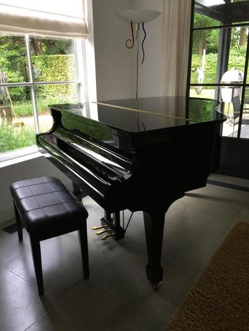 Maeari vleugel. Glanzend zwart. 150 cm. beschikbaar voor biedingen