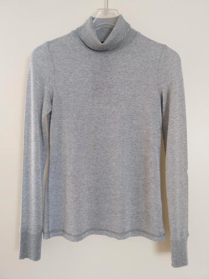 Coltrui Jane Lushka zilvergrijs S, Kleding | Dames, Tops, Nieuw, Lange mouw, Ophalen of Verzenden