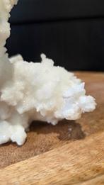 Prachtig stuk ramshoorn seleniet, Ophalen of Verzenden