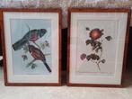 Set van 2 ingelijste prenten - Vogel en Roos, Ophalen of Verzenden