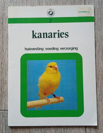 02 Kanaries  beschikbaar voor biedingen