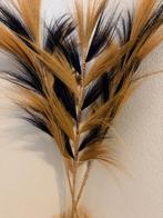 Pluimgras naturel, Ophalen, Zo goed als nieuw
