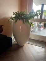 Grote Witte Pot - Eyecatcher!, Tuin en Terras, 25 tot 40 cm, Rond, Binnen, Ophalen of Verzenden