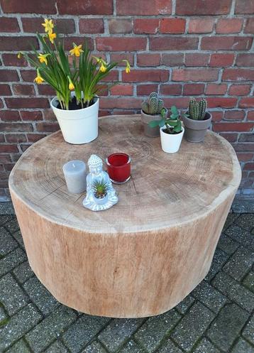 ‼️ BOOMSTAM MEERPAAL PILAAR ZUIL SOKKEL PAAL TAFEL HOUT 