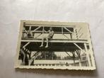 Vintage Foto: Jongen op duikplank, Tropen 1948, Gebruikt, Foto, Voor 1940, Buitenland