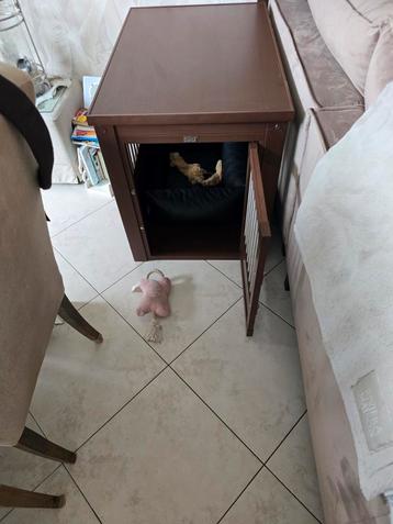 Honden bench beschikbaar voor biedingen