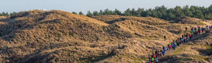 Startbewijs Kwart Marathon Egmond 11 januari, Sport en Fitness, Loopsport en Atletiek, Nieuw, Overige typen, Hardlopen, Overige merken