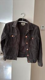 Jasje Isabel Marant 36, Kleding | Dames, Ophalen of Verzenden, Maat 36 (S), Bruin