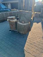 3 grote eikem blokken voor maar 80 euro !!, Minder dan 3 m³, Ophalen, Eikenhout, Blokken