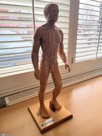 Seirin Acupunctuur Model, Ophalen of Verzenden, Gebruikt