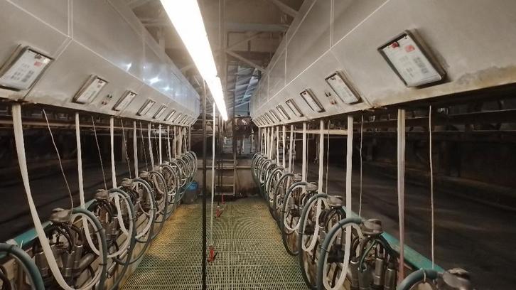 Melkstal GEA 2x12 zij aan zij, Dieren en Toebehoren, Overige Dieren-accessoires, Zo goed als nieuw, Ophalen