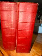 Pieter scheen 2 delig lexicon, Ophalen of Verzenden