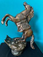 Brons steigerend paard 42 cm, Antiek en Kunst, Ophalen of Verzenden