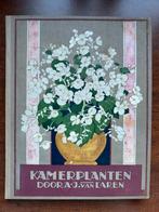 Oud plaatjesalbum KAMERPLANTEN met 132 plaatjes 1928, Boeken, Prentenboeken en Plaatjesalbums, Ophalen of Verzenden, Gelezen, A.J. van Laren