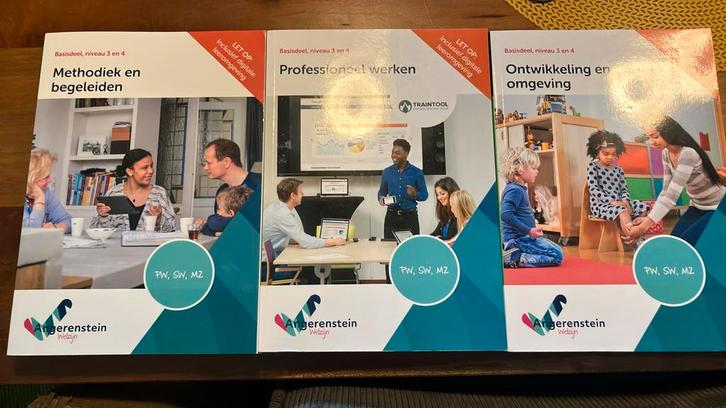 3 Angerenstien Onderwijsassistent boeken niv 3-4, Boeken, Schoolboeken, Zo goed als nieuw, Nederlands, Overige niveaus, Ophalen of Verzenden