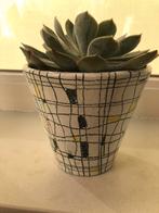 Bitossi londi vintage  mondriaan bloempot italy ‘50, Ophalen of Verzenden, Zo goed als nieuw