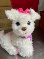 Honden speelgoed ( met batterijen.), Dieren en Toebehoren, Ophalen of Verzenden, Nieuw