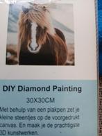 DIY Diamond Painting Paard 30x30cm, Ophalen, Nieuw, Knutselwerk