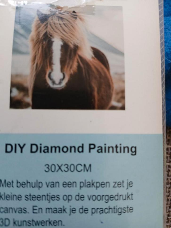 DIY Diamond Painting Paard 30x30cm, Hobby en Vrije tijd, Knutselen, Nieuw, Knutselwerk, Ophalen