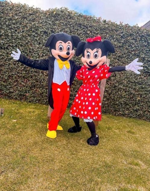 Te Huur Mickey- en Minni Mouse, Hobby en Vrije tijd, Feestartikelen | Verhuur, Zo goed als nieuw, Verjaardag, Ophalen