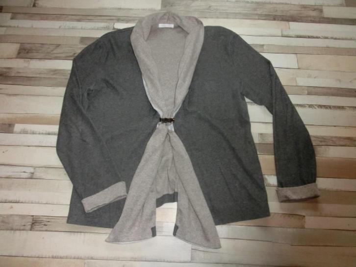 Leuk vest van gc fontana maat 42., Kleding | Dames, Truien en Vesten, Zo goed als nieuw, Maat 42/44 (L), Grijs, Ophalen of Verzenden