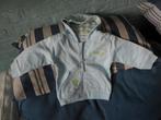 licht blauw vestje mt 68 Nieuw, Ophalen, Zeeman, Truitje of Vestje, Nieuw