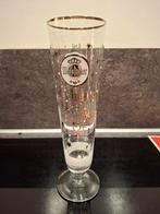 Warsteiner Bierglas met Gouden Details, Ophalen of Verzenden, Nieuw
