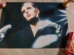 Duncan Laurence Poster VIP Merch, gesigneerd, signed, Verzamelen, Zo goed als nieuw, Ophalen