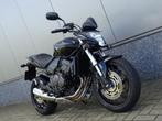 Honda CB 600 F HORNET ABS (bj 2010), Naked bike, Bedrijf, 600 cc, 4 cilinders